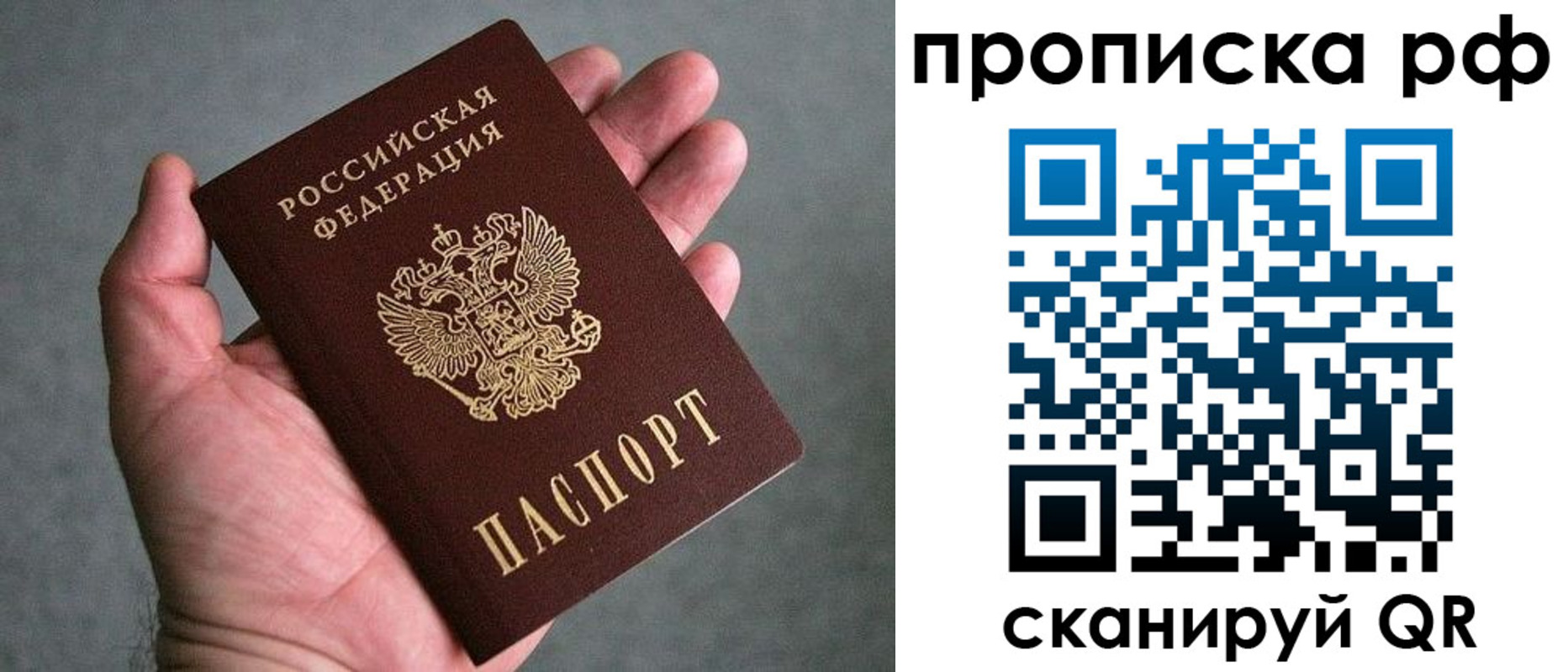 купить прописку в Брянской области